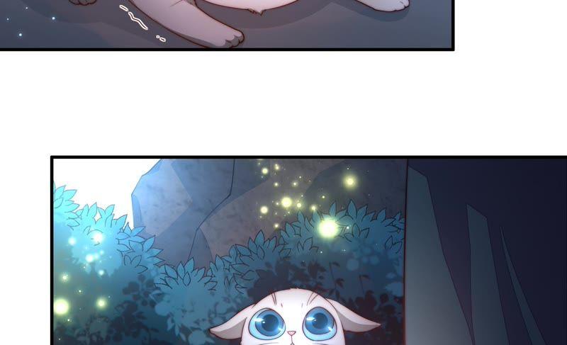 少帅每天都在吃醋第36话 来者不善