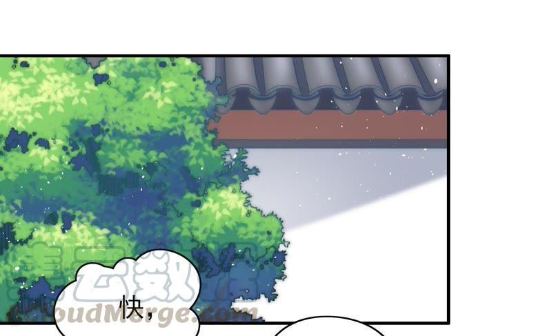 少帅每天都在吃醋第50话 苦肉计