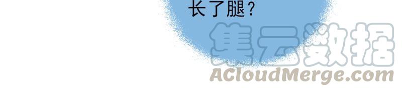 少帅每天都在吃醋第53话 揭穿