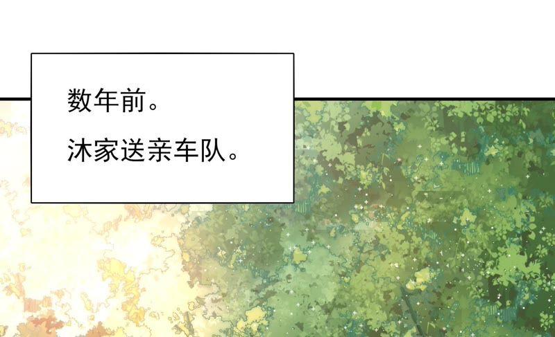 少帅每天都在吃醋第62话 再次谋害