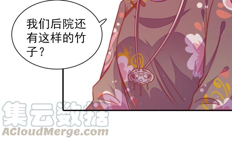 少帅每天都在吃醋第106话 竹叶心
