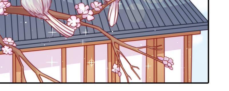 少帅每天都在吃醋第113话 身为夫妻