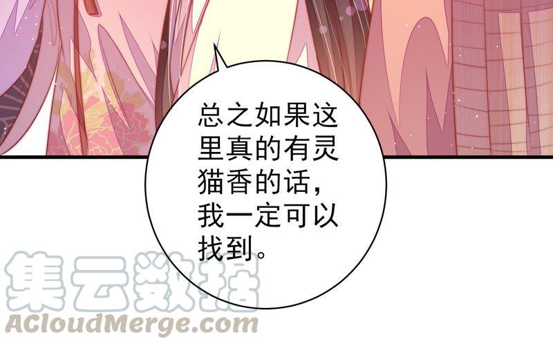 少帅每天都在吃醋第122话 灵猫香