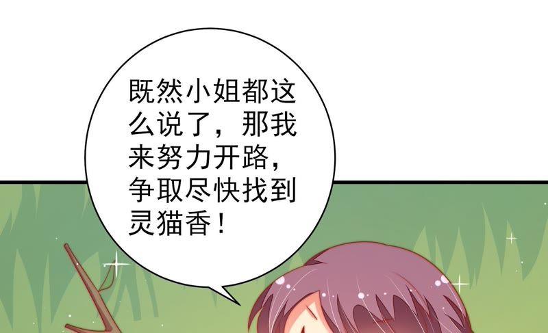 少帅每天都在吃醋第122话 灵猫香