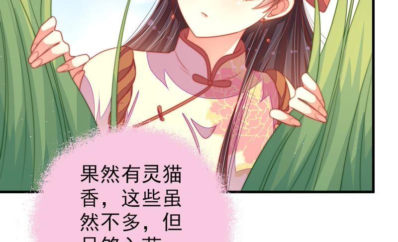 少帅每天都在吃醋第123话 抢夺