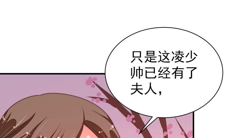 少帅每天都在吃醋第160话 慕家小姐