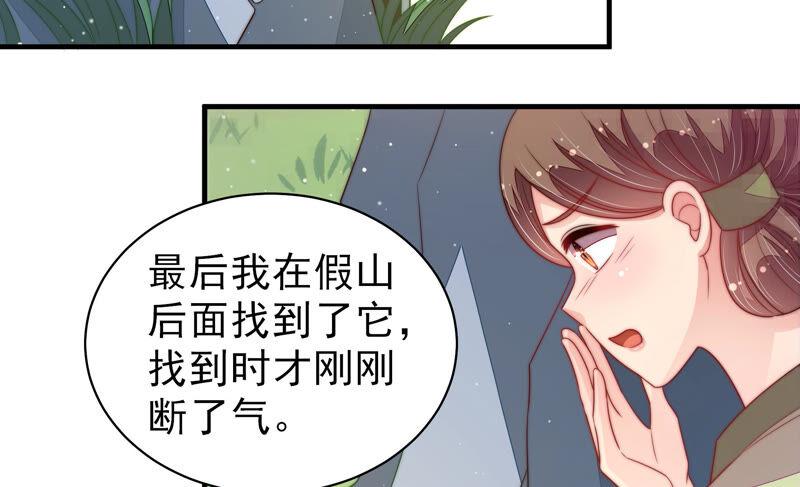 少帅每天都在吃醋第179话 口不择言