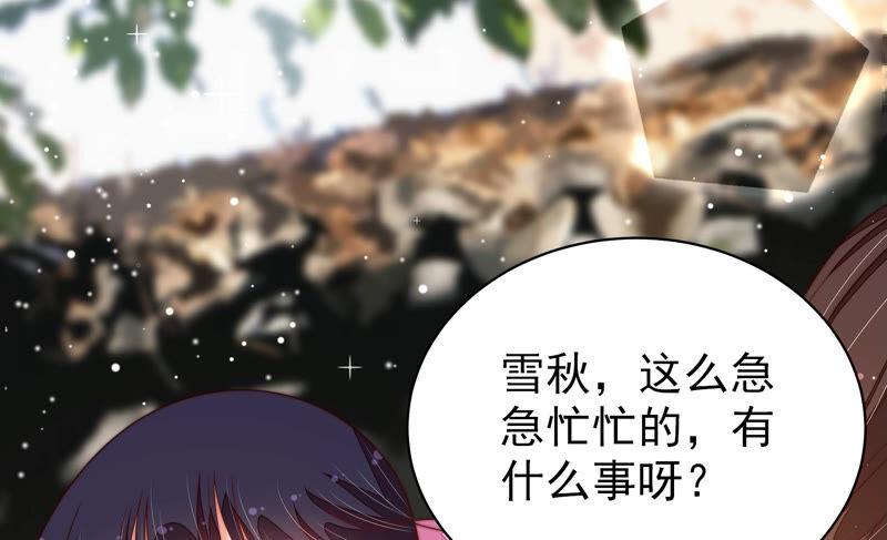 少帅每天都在吃醋第185话 楚南风的心思