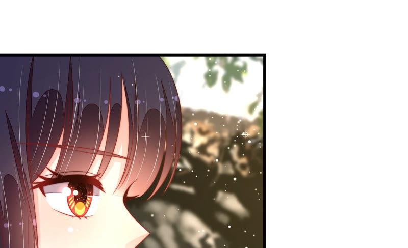 少帅每天都在吃醋第185话 楚南风的心思