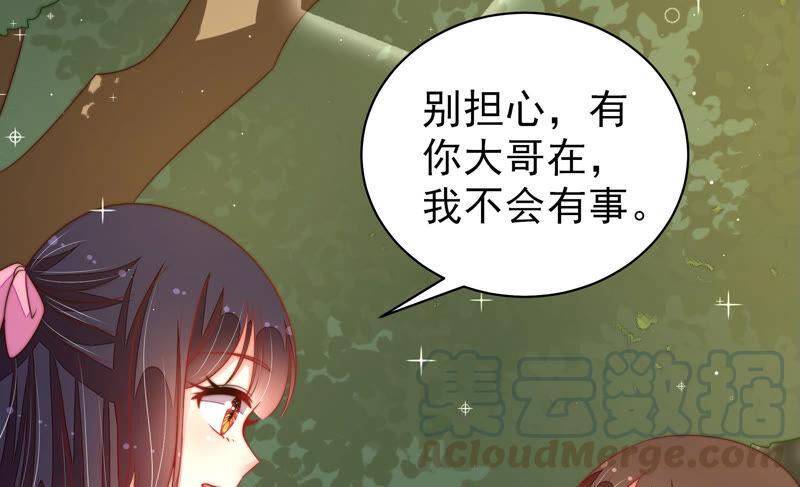 少帅每天都在吃醋第185话 楚南风的心思