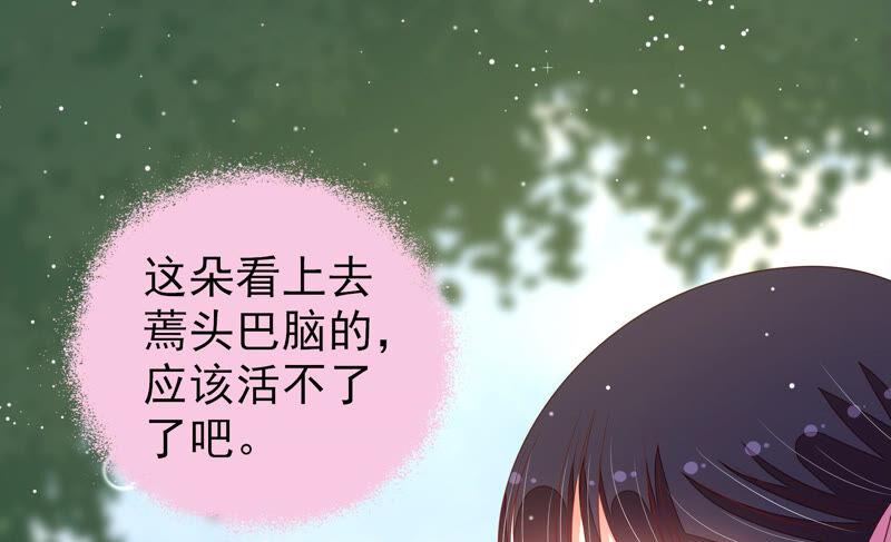 少帅每天都在吃醋第190话 助攻来啦