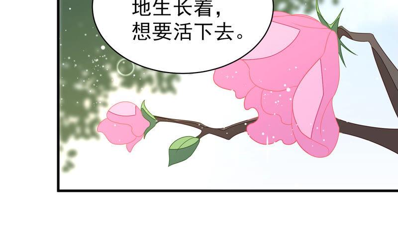 少帅每天都在吃醋第190话 助攻来啦