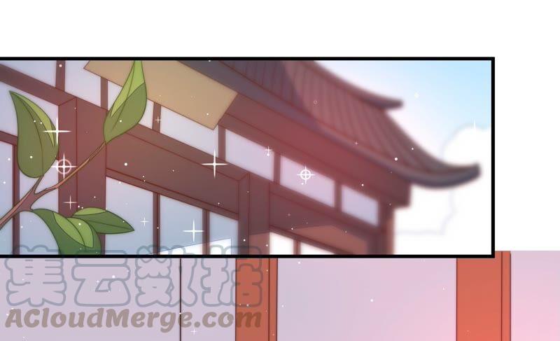 少帅每天都在吃醋第195话 生辰