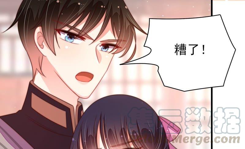 少帅每天都在吃醋第200话 黑猫