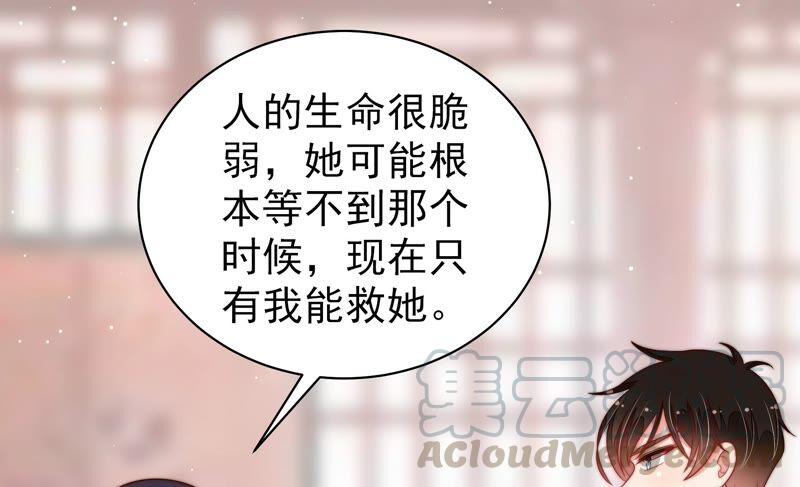 少帅每天都在吃醋第200话 黑猫