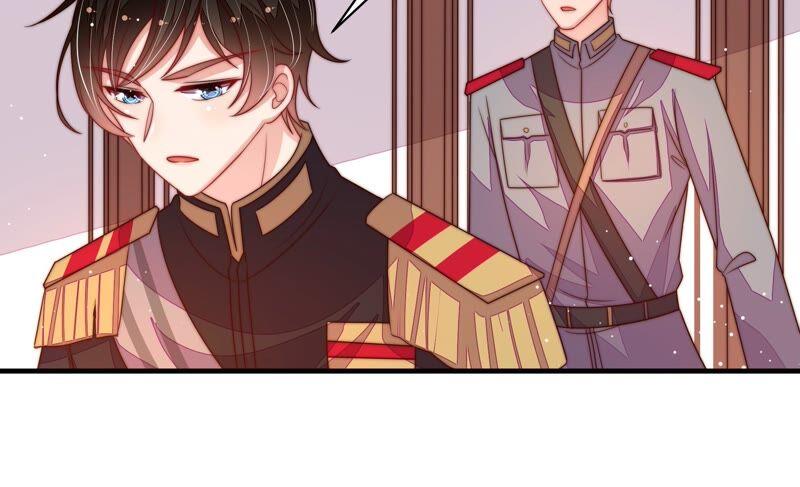少帅每天都在吃醋第200话 黑猫