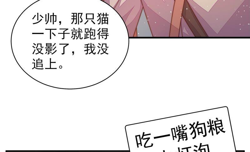 少帅每天都在吃醋第200话 黑猫