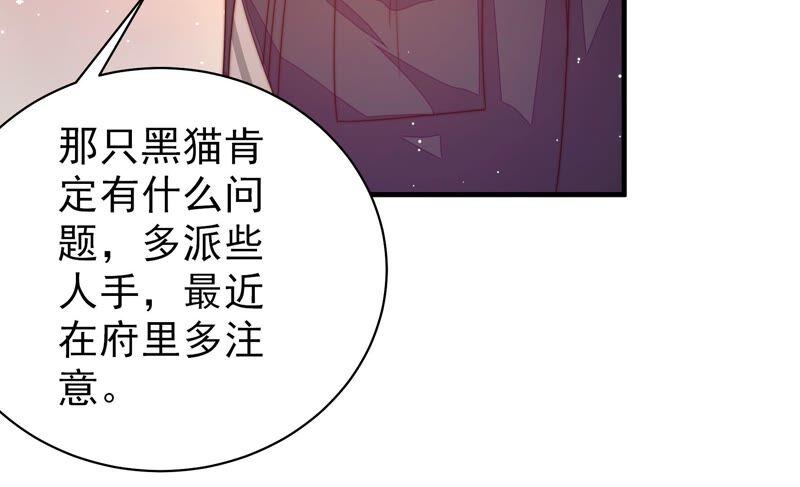 少帅每天都在吃醋第200话 黑猫