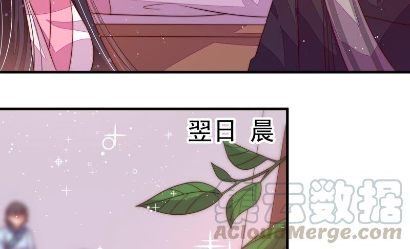 少帅每天都在吃醋第200话 黑猫