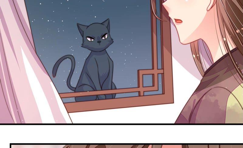 少帅每天都在吃醋第200话 黑猫