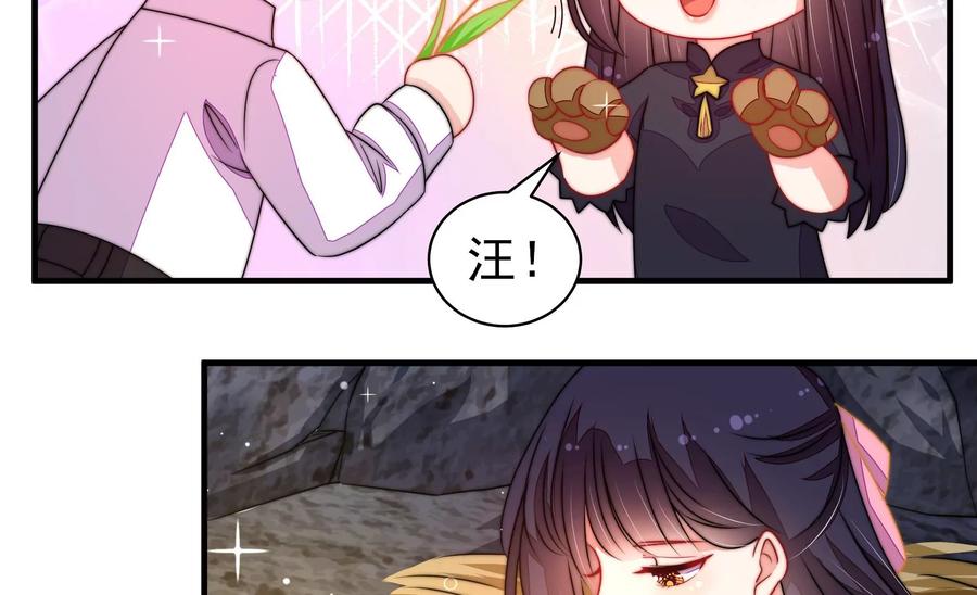 少帅每天都在吃醋第222话 获救