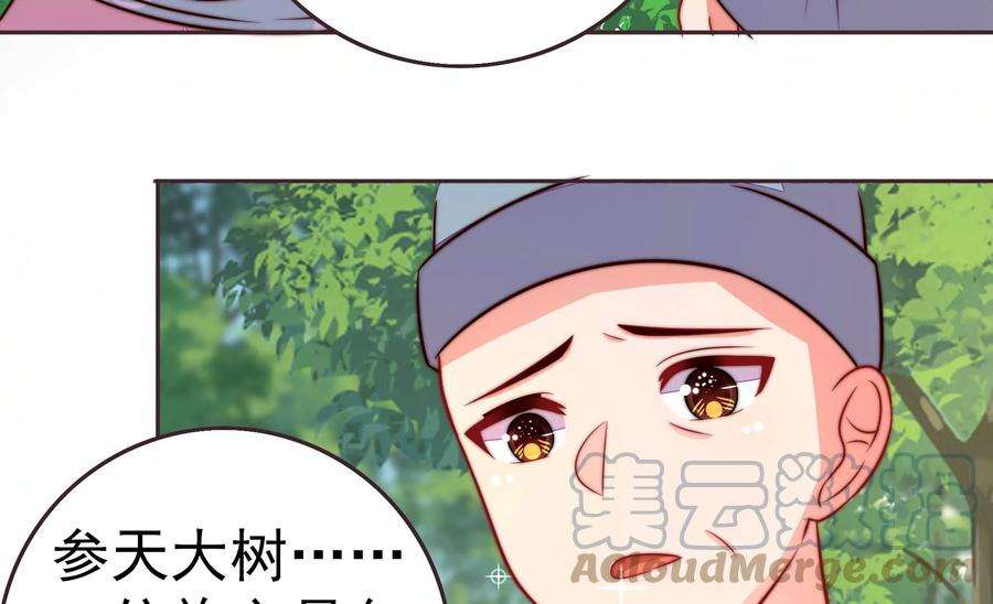 少帅每天都在吃醋第251话 是非因果