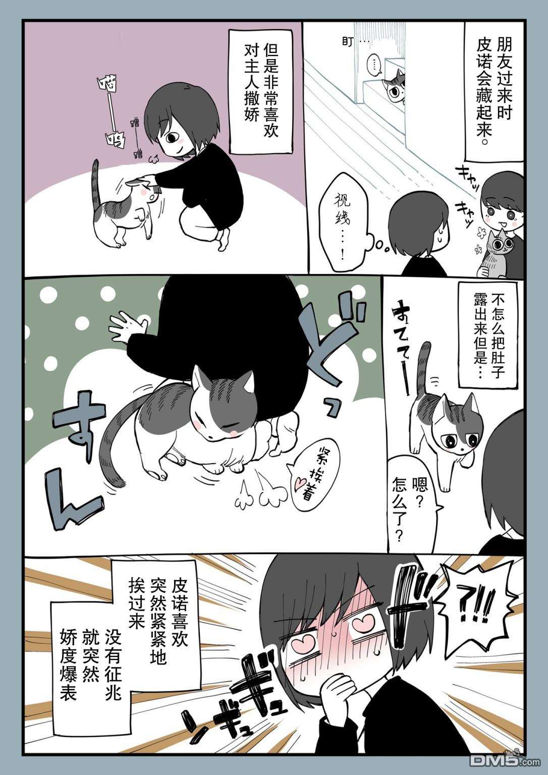 有猫的生活第01话