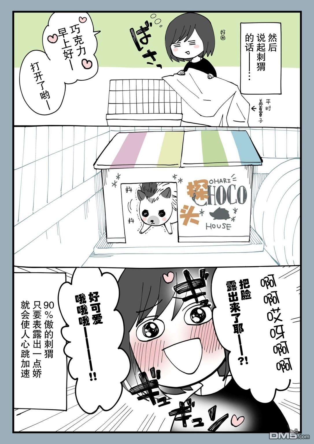 有猫的生活第01话