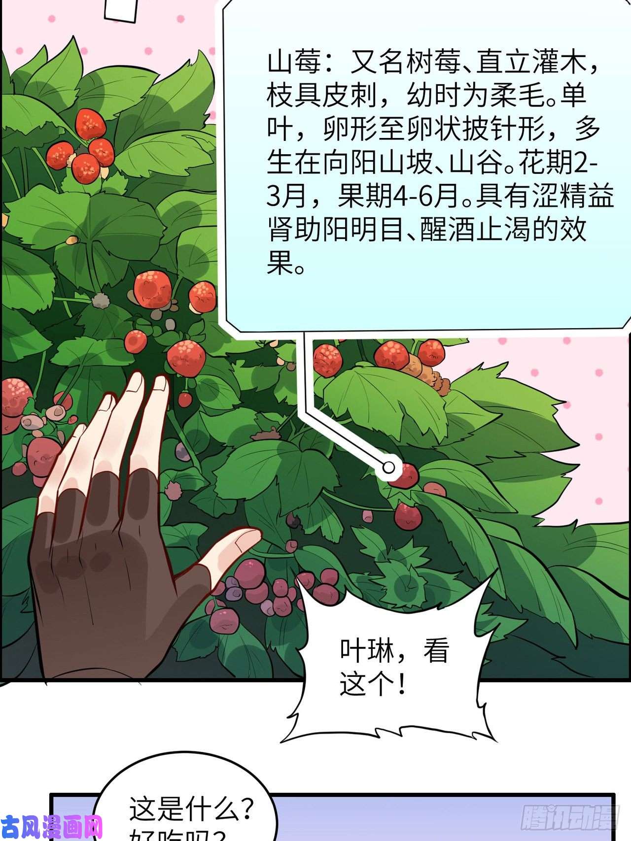 我和妹子们的荒岛余生第8话