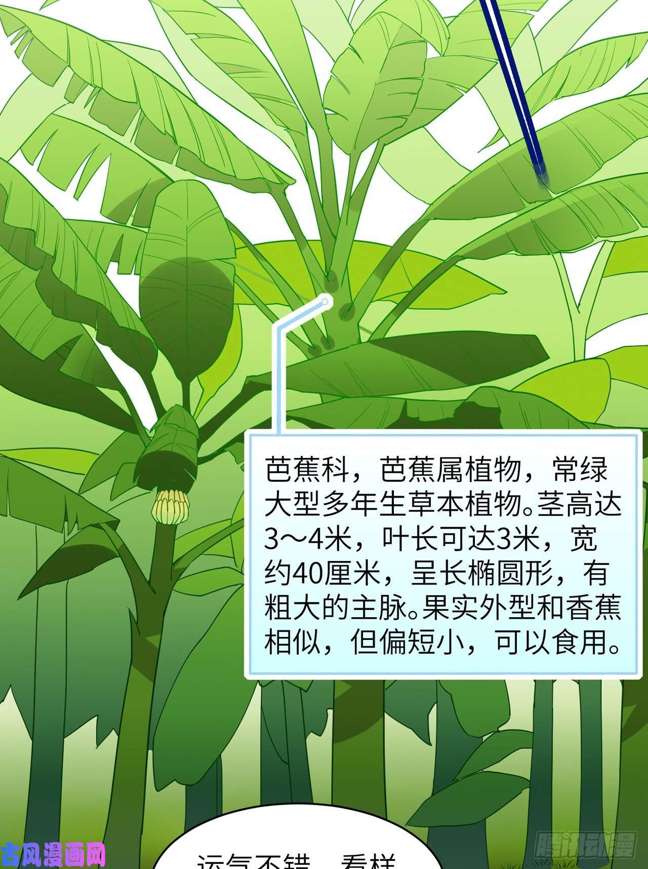 我和妹子们的荒岛余生第9话