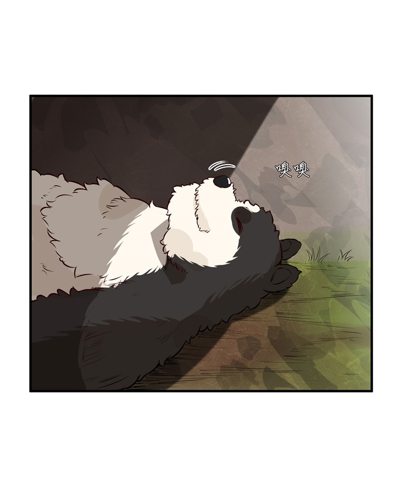我和妹子们的荒岛余生第36话