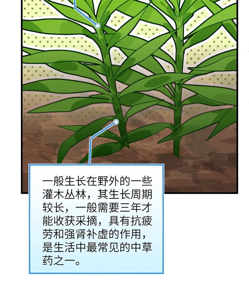 我和妹子们的荒岛余生第36话