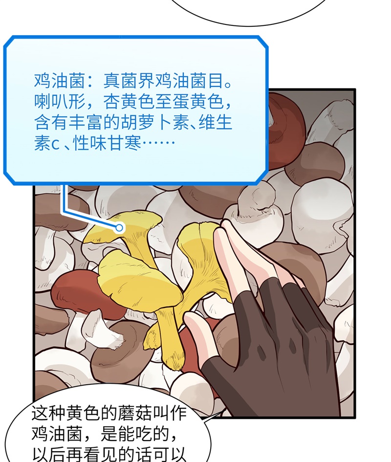 我和妹子们的荒岛余生第41话