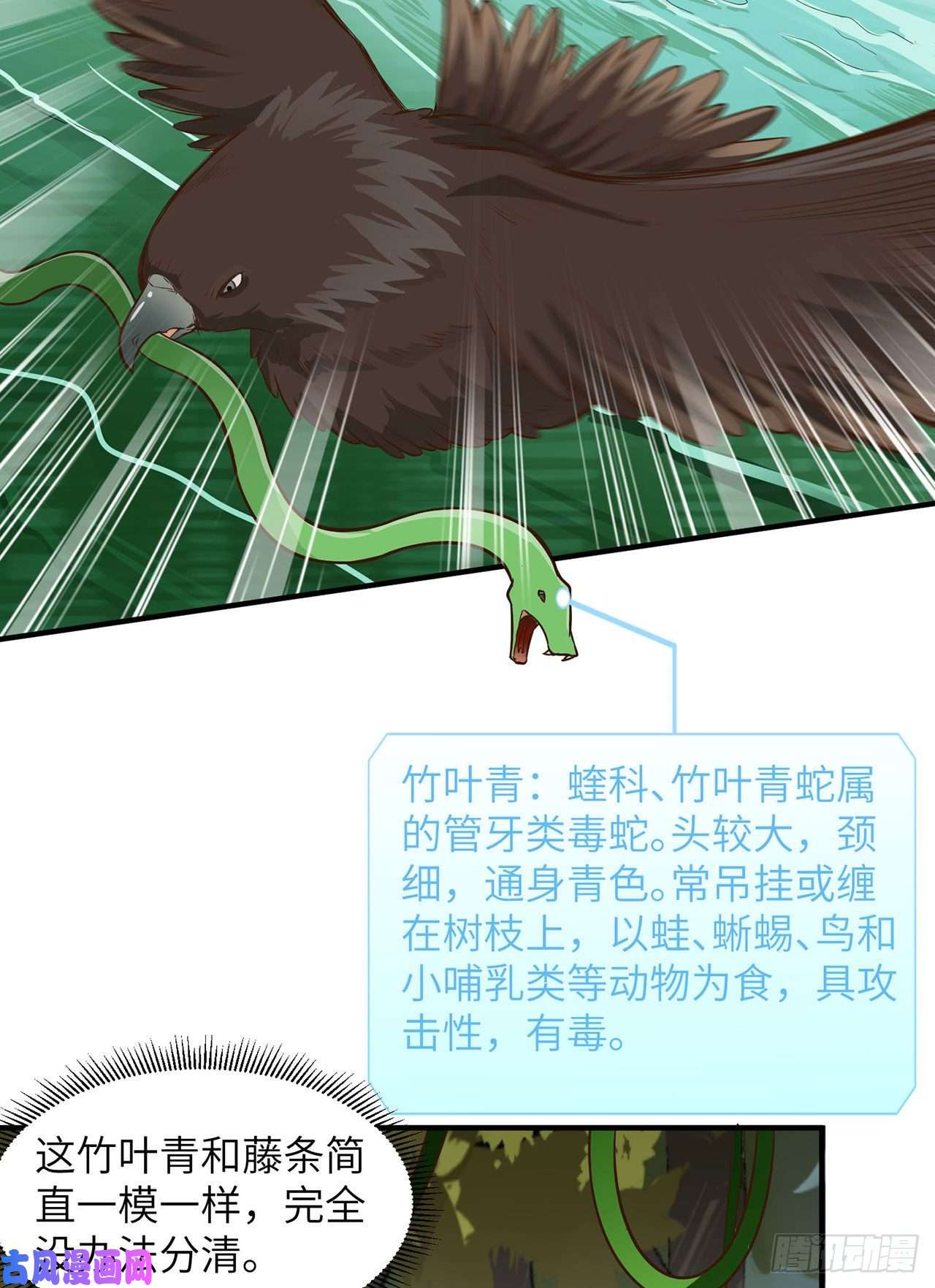 我和妹子们的荒岛余生第55话