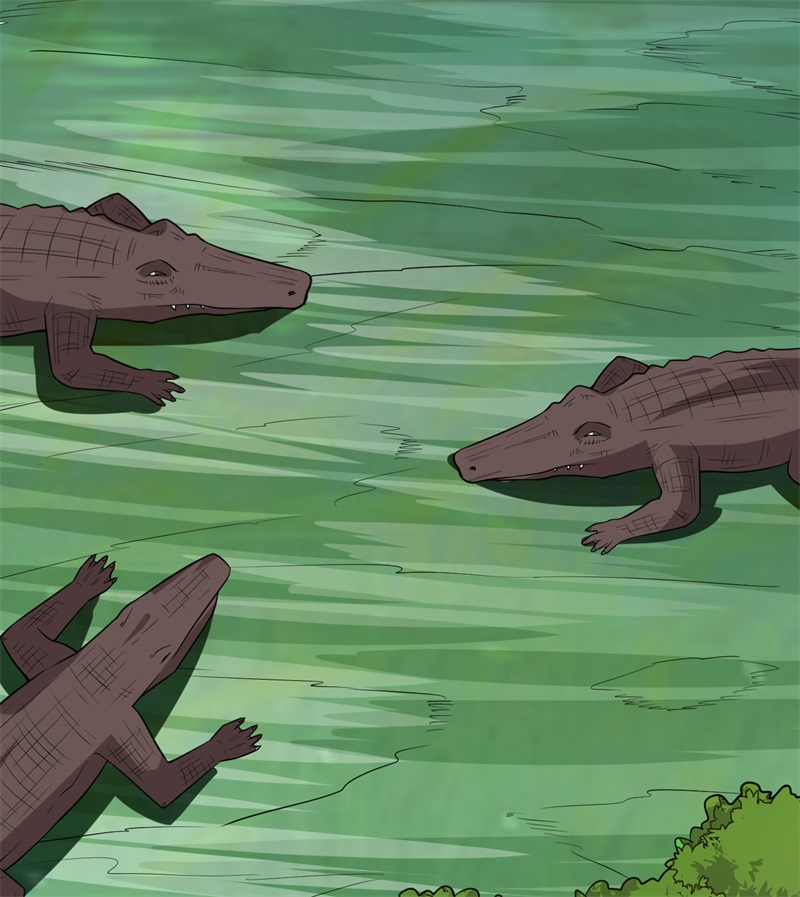 我和妹子们的荒岛余生第138话