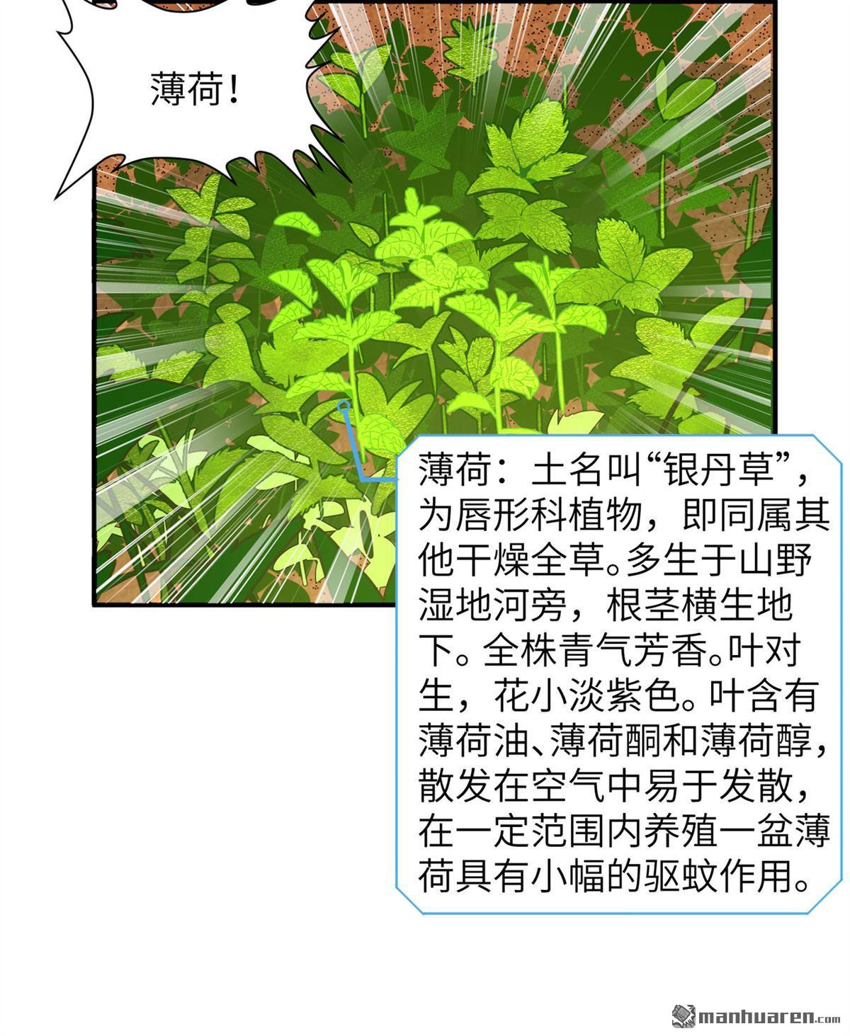 我和妹子们的荒岛余生第156话