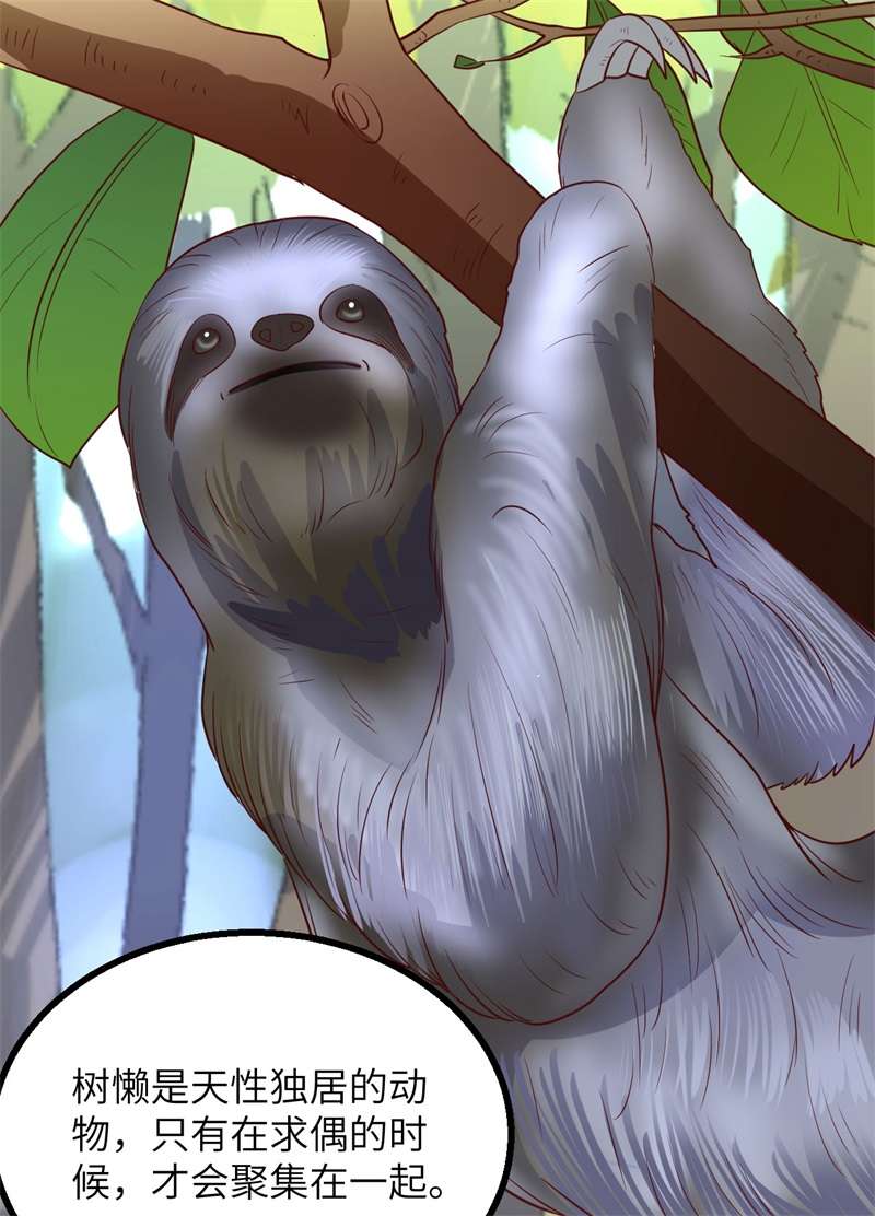 我和妹子们的荒岛余生第211话