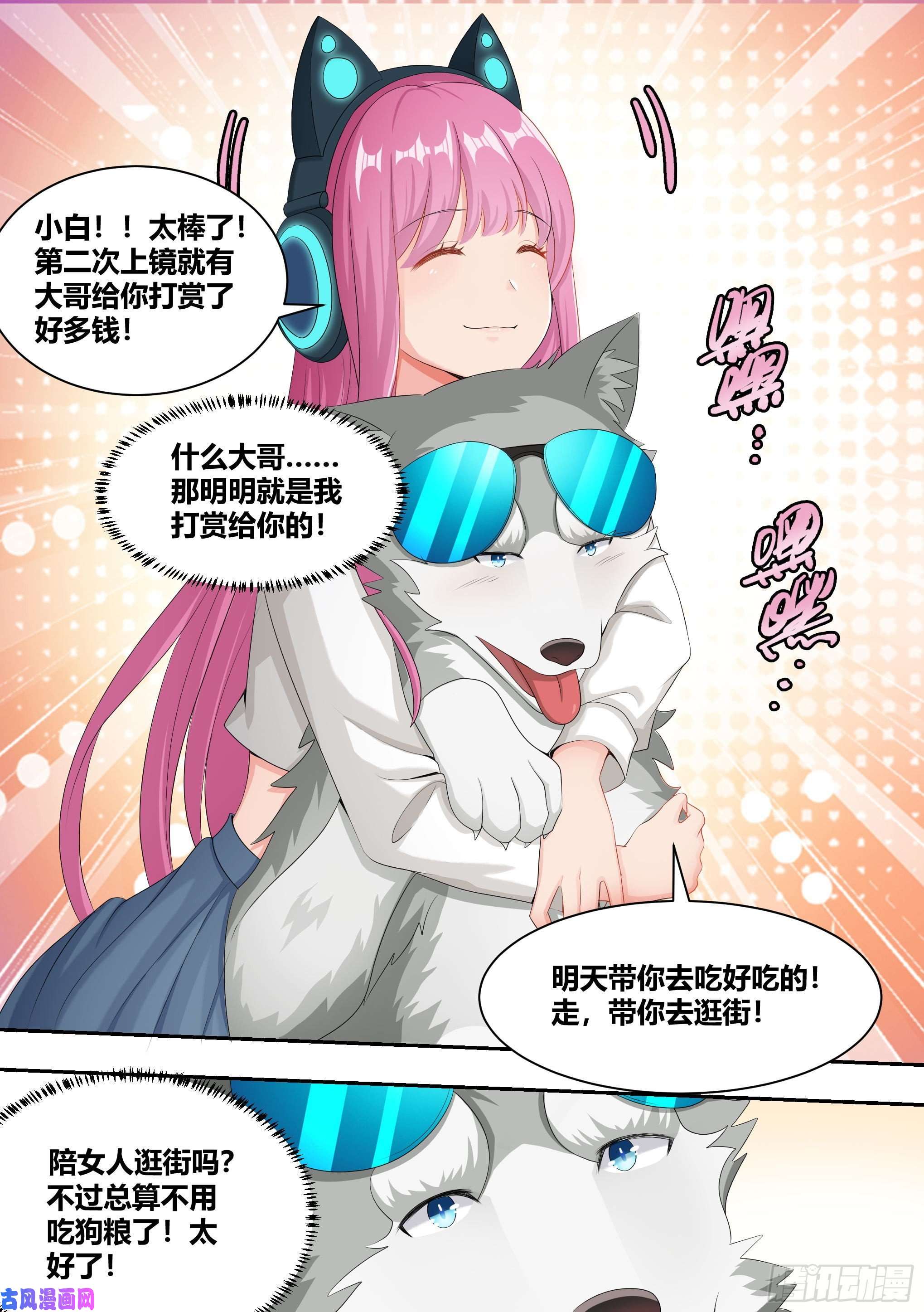 直播：女神家的哈士奇天秀4-美女的闺蜜也是美女