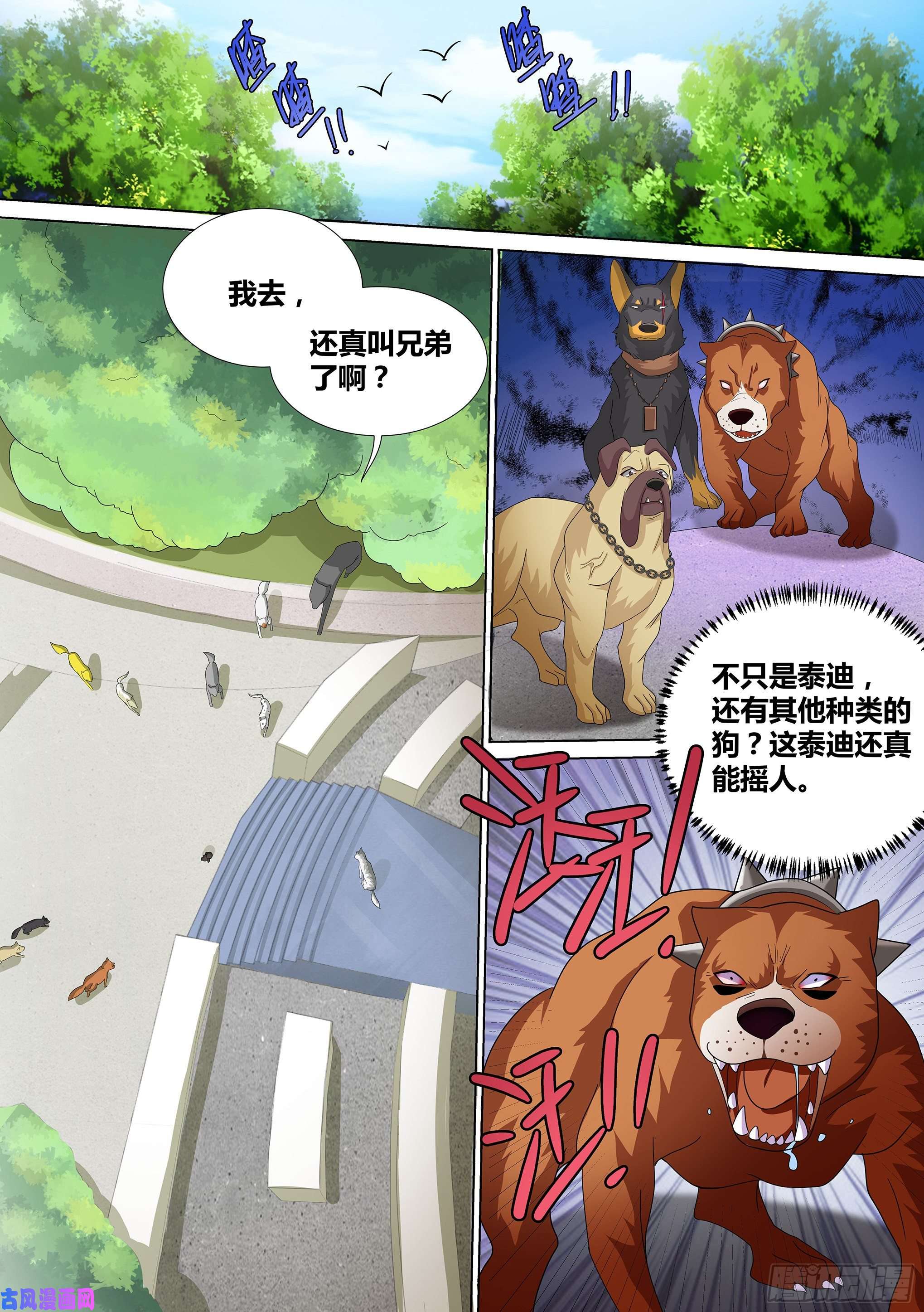 直播：女神家的哈士奇天秀10-无敌狗皇