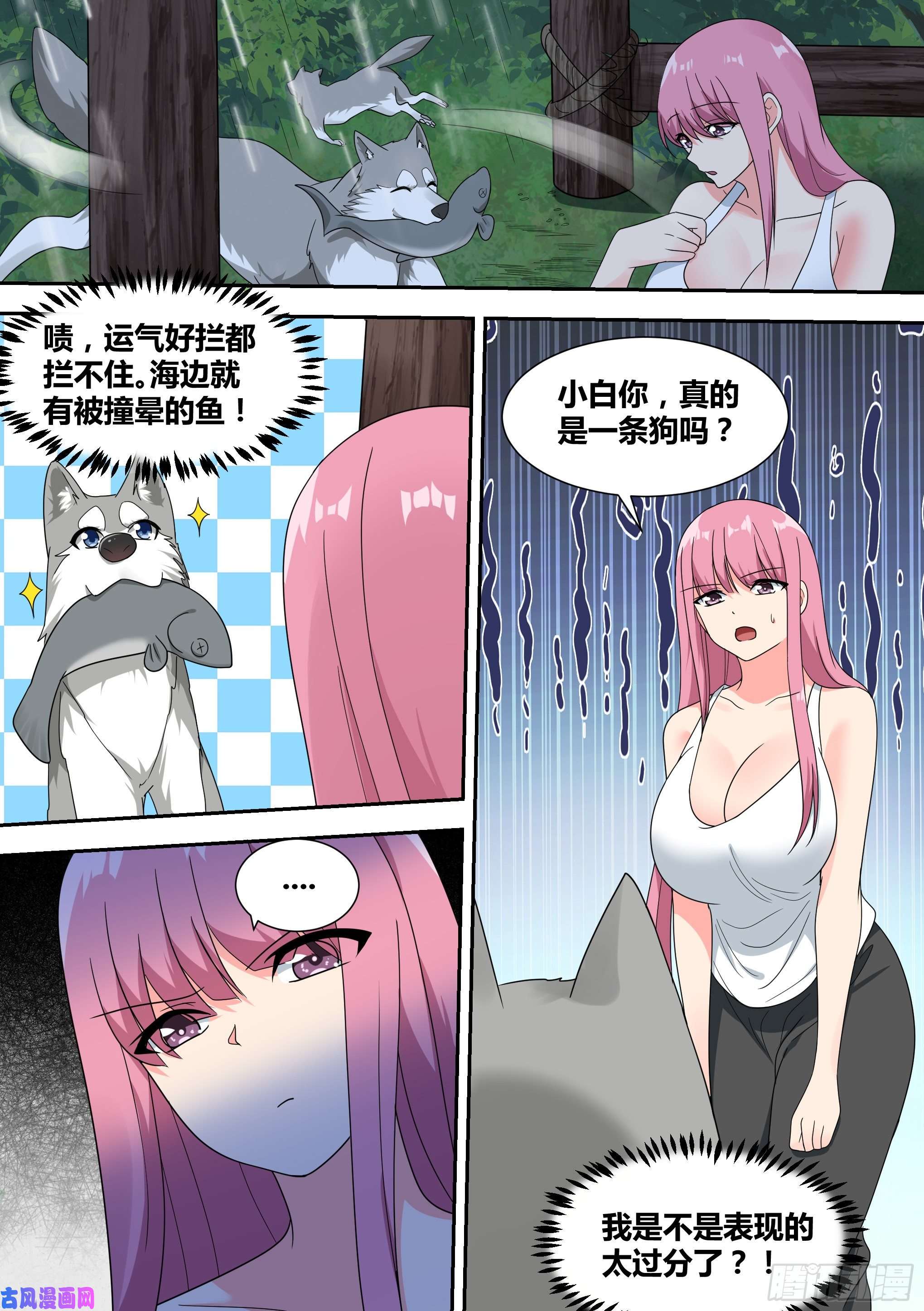 直播：女神家的哈士奇天秀18-婉清的野外“度假”
