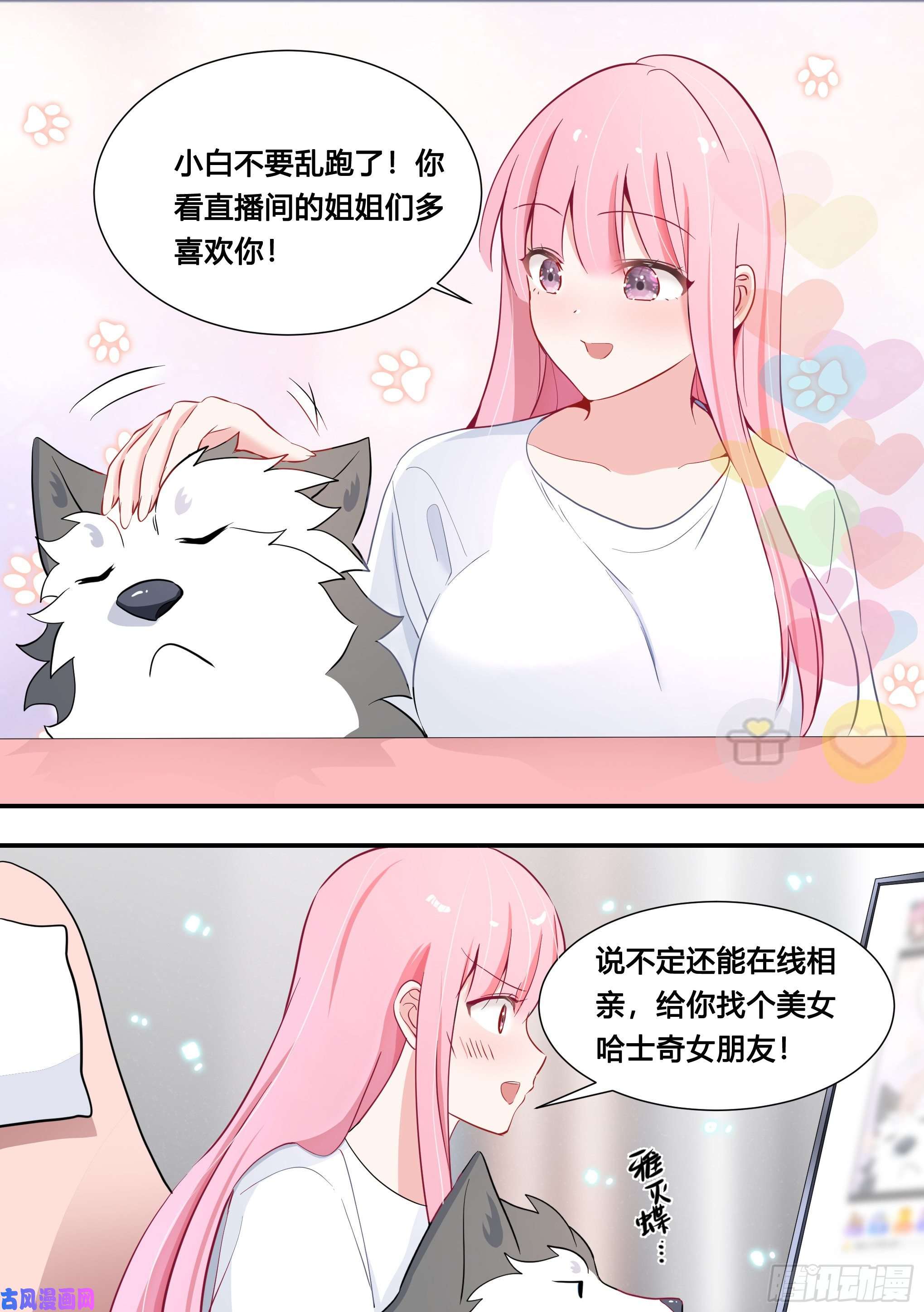 直播：女神家的哈士奇天秀107-相亲？！