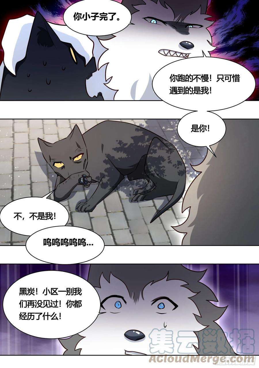 直播：女神家的哈士奇天秀160-落魄小弟求收留