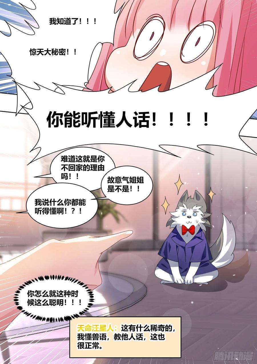 直播：女神家的哈士奇天秀220-败家指令