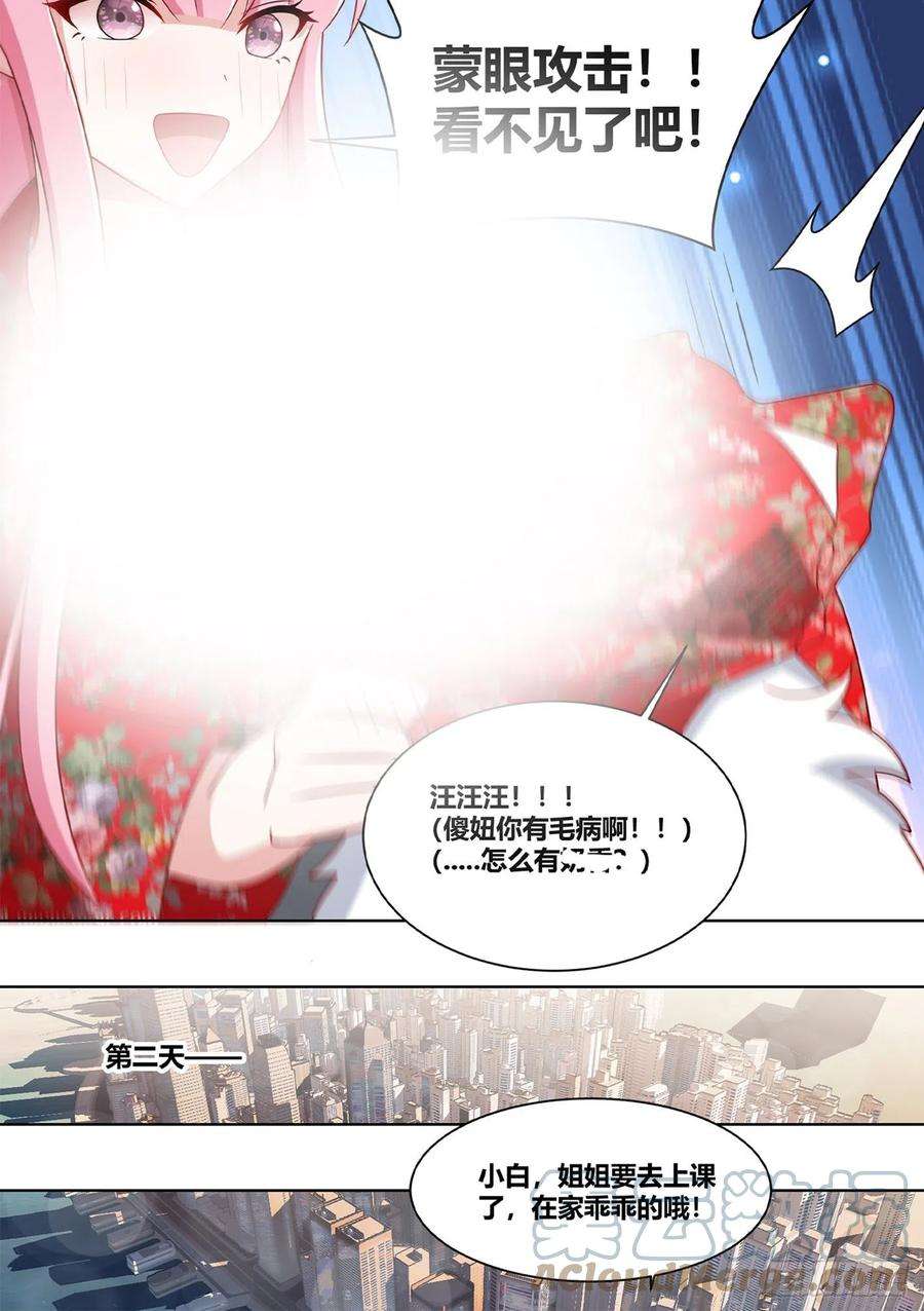 直播：女神家的哈士奇天秀232-一起话老家吗