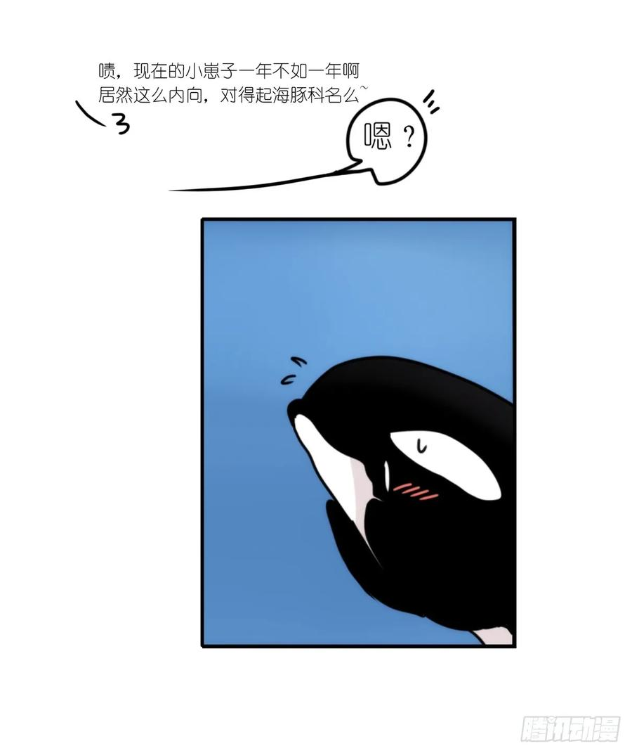 进化之基虎鲸篇：这些杀手不太冷03