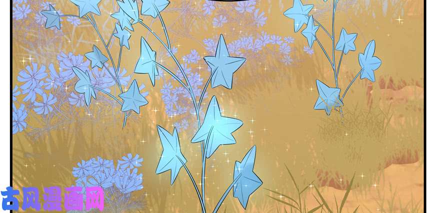 毒步天下：特工神医小兽妃27