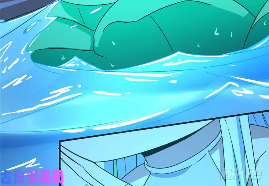 毒步天下：特工神医小兽妃30