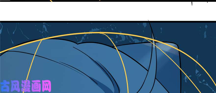 毒步天下：特工神医小兽妃98