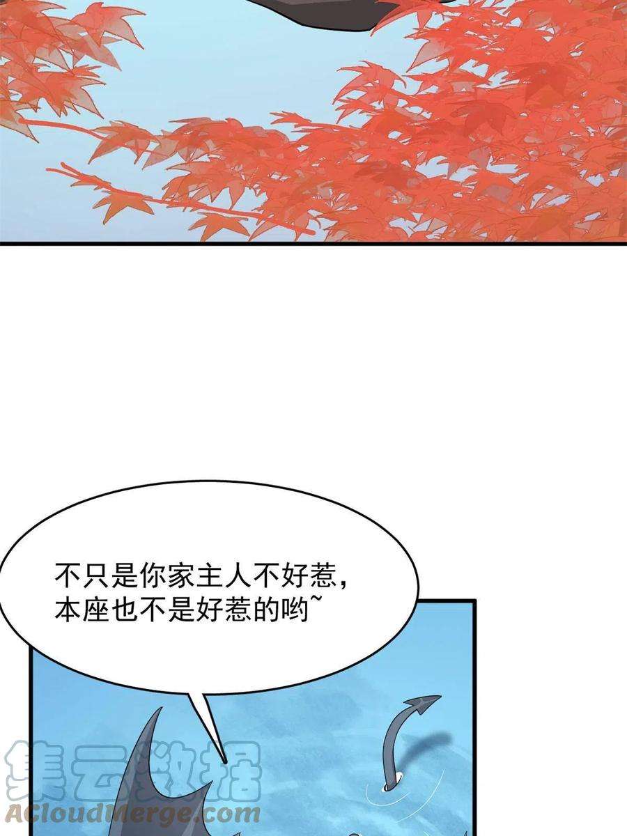 毒步天下：特工神医小兽妃354