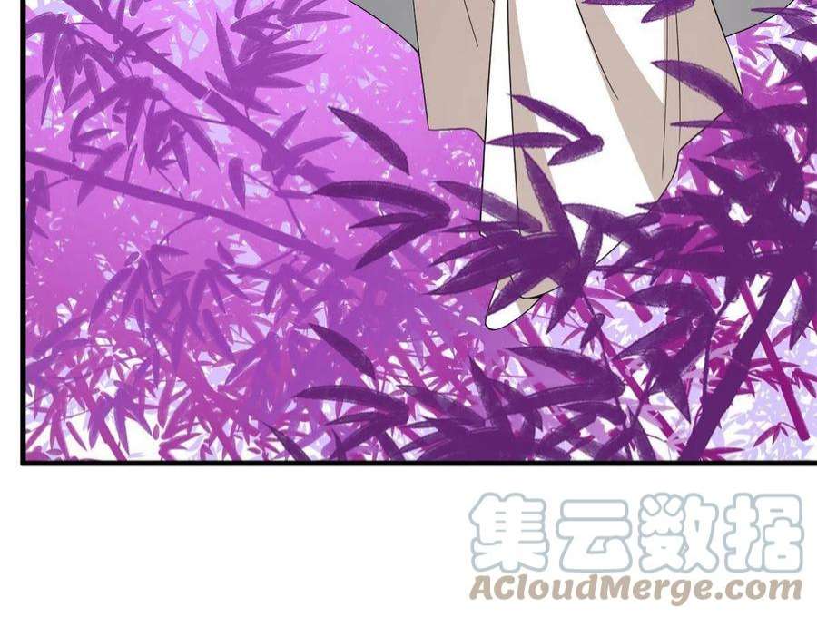 毒步天下：特工神医小兽妃356